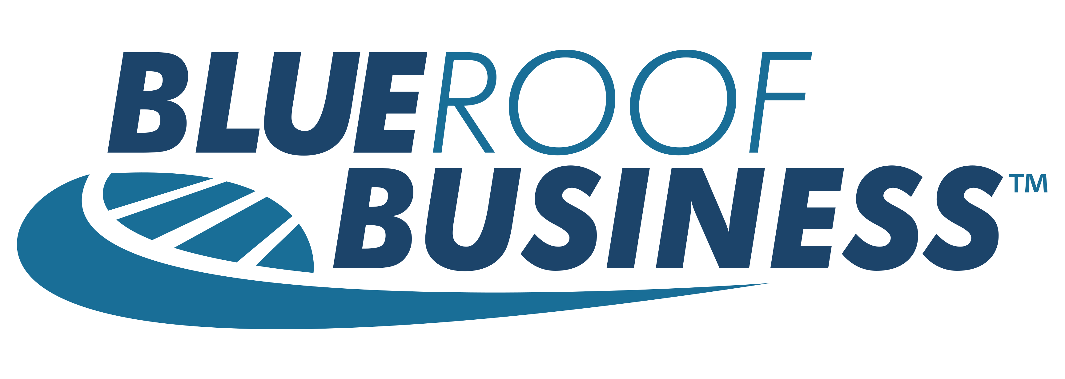BlueRoof Business